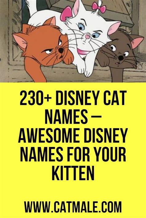 <b>Disney</b> <b>names</b> for male <b>cats</b> A combination of <b>Disney</b> princes and just some good old-fashioned <b>Disney</b> characters, these <b>names</b> are great for male <b>cats</b>. . Disney names for cats